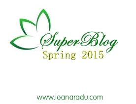 SuperBlog 2015 ioanaradu 03