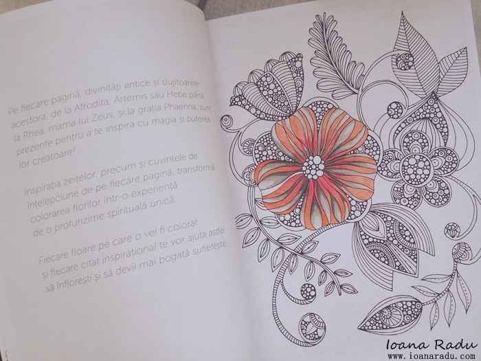 carte de colorat armonii florale 2
