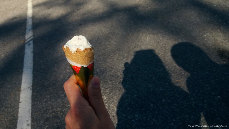 vanilla ice cream in Norway